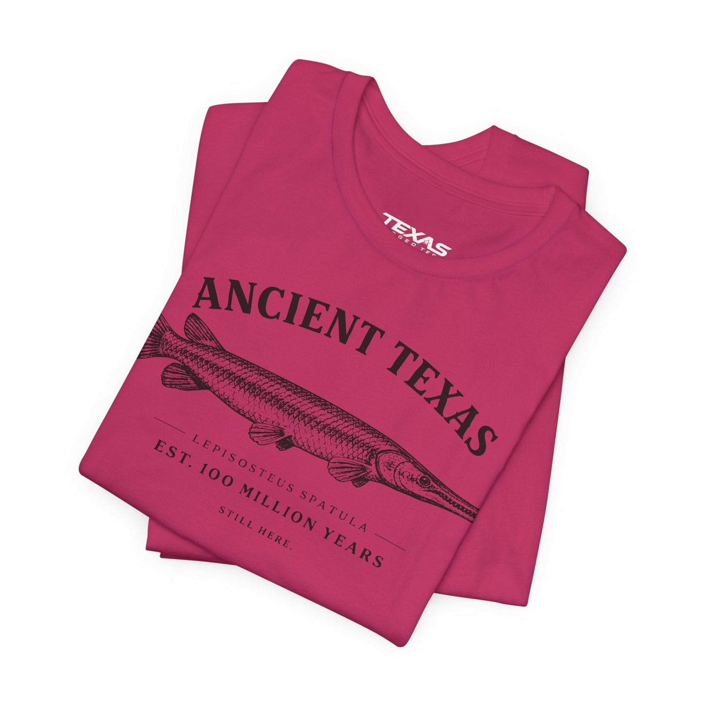 Texas Rigged Tees Ancient Texas — Unisex Cotton Tee