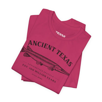 Texas Rigged Tees Ancient Texas — Unisex Cotton Tee