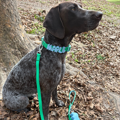 Springland Pets Waterproof Dog Leash - 5ft