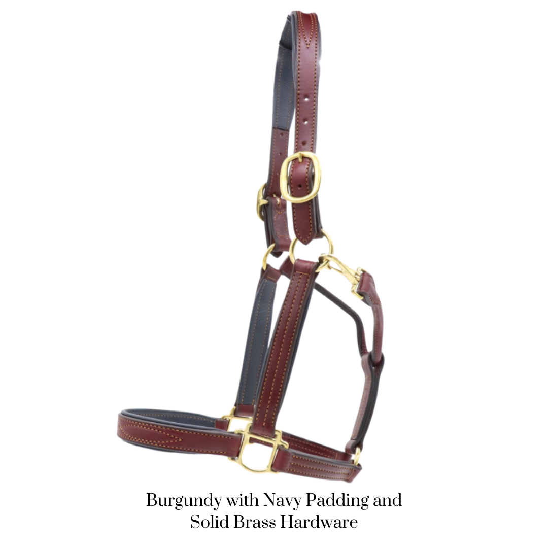 Remarkable Leather Goods GHC Padded Halter