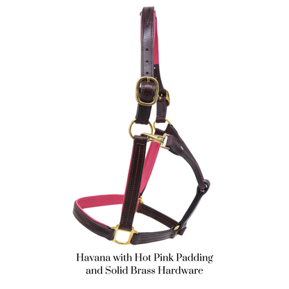 Remarkable Leather Goods GHC Padded Halter