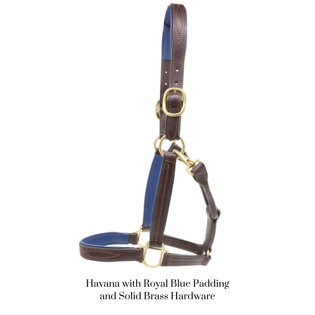 Remarkable Leather Goods GHC Padded Halter