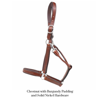 Remarkable Leather Goods GHC Padded Halter