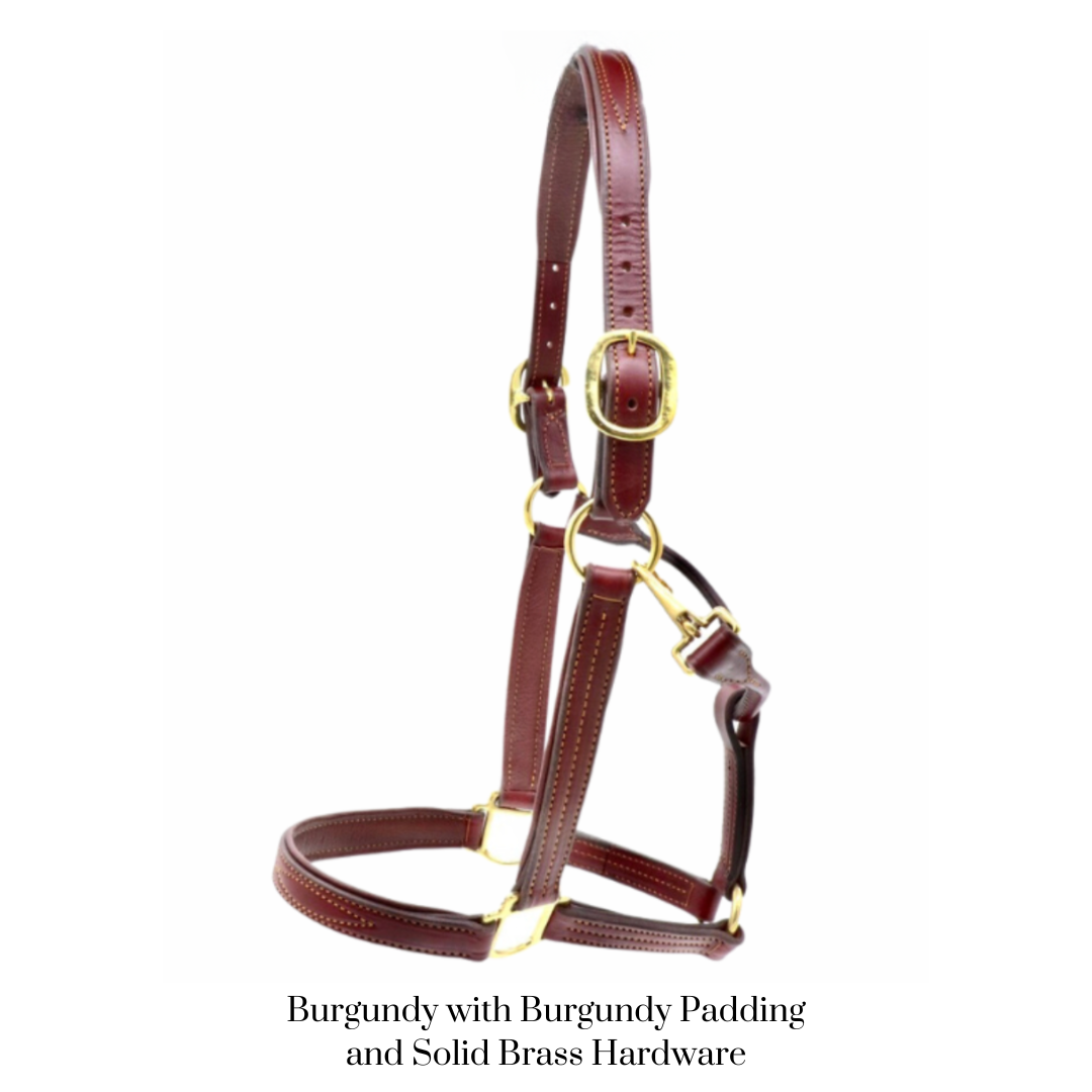 Remarkable Leather Goods GHC Padded Halter