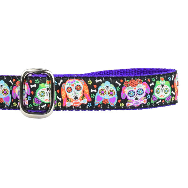 2 Hounds Design 1″ XOLO – Sugar Skull Ribbon Dog Leash