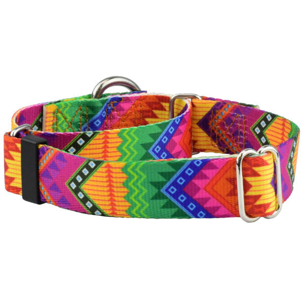 2 Hounds Design BFF (Best Friends Forever) Martingale Dog Collar – EarthStyle