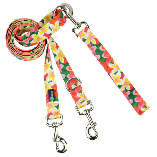 2 Hounds Design Aloha Double Connection Leash – EarthStyle