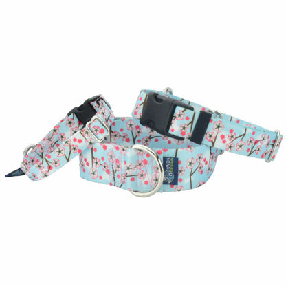 2 Hounds Design Cherry Blossoms Buckle Martingale Dog Collar – EarthStyle