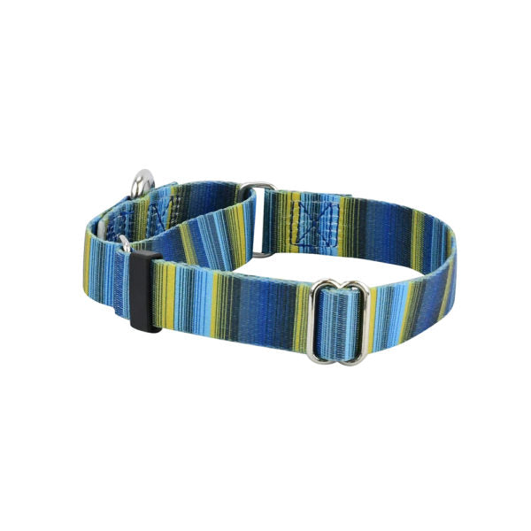 2 Hounds Design Clyde Martingale Dog Collar – EarthStyle
