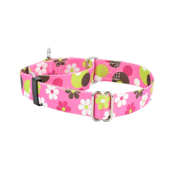 2 Hounds Design Daisy Dot Martingale Dog Collar – EarthStyle