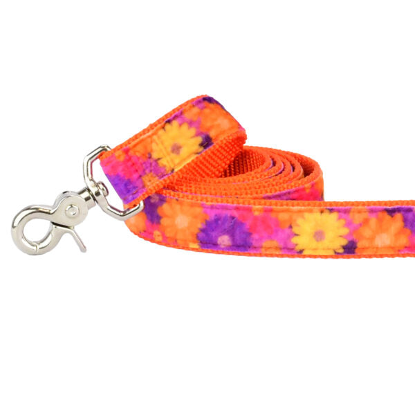 2 Hounds Design Gerbera Daisy Velvet Dog Leash (1″ Only)