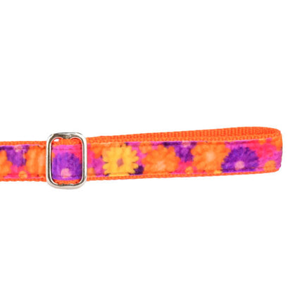 2 Hounds Design Gerbera Daisy Velvet Dog Leash (1″ Only)