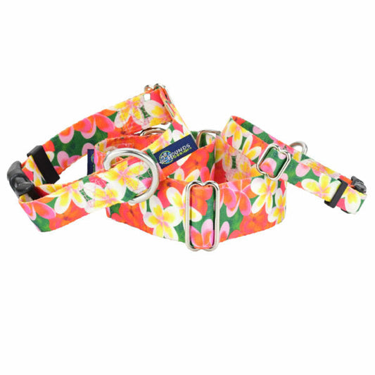 2 Hounds Design Aloha Martingale Dog Collar – EarthStyle