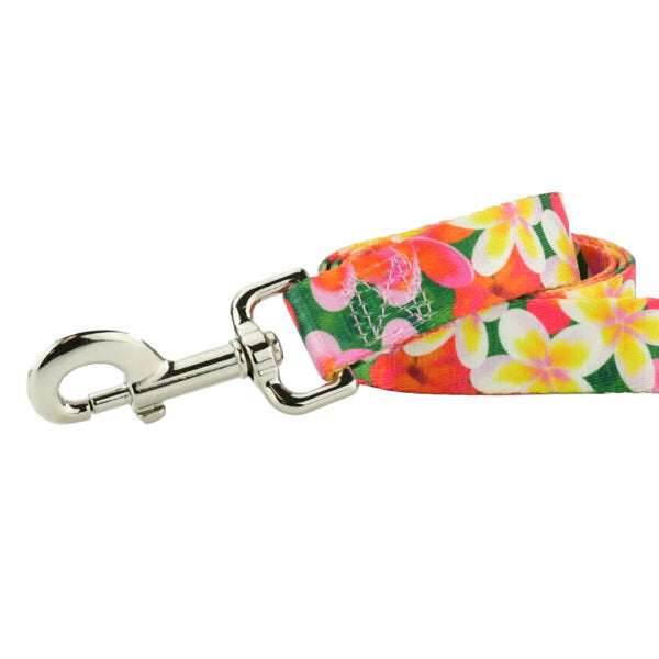 2 Hounds Design Aloha Dog Leash – EarthStyle