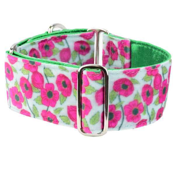 2 Hounds Design Bold Poppies Elite Velvet Buckle Martingale Dog Collar