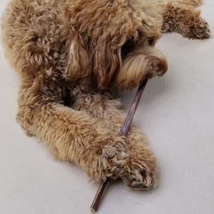 Bully Bunches - 12 Inch Beef Jerky Stick