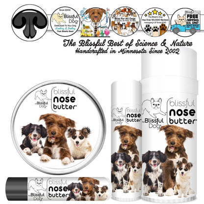 The Blissful Dog 3 Cute Puppies Nose Butter