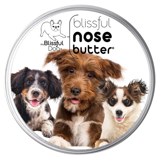 The Blissful Dog 3 Cute Puppies Nose Butter