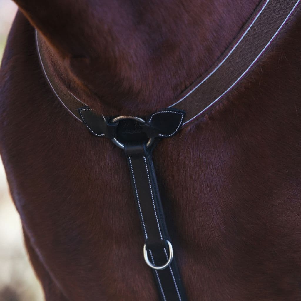 Bridles & Reins ExionPro Heart Shape 3 Point Breastplate - Matching Elastic