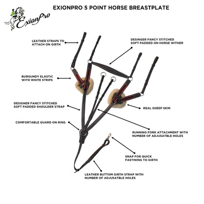 Bridles & Reins ExionPro 5 Point Breastplate - Burgundy Elastic with White Strips