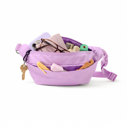 Springland Pets Hands-Free Dog Walking Bag with 4ft Leash