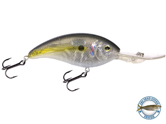 Livingston Lures Deep Impact 18