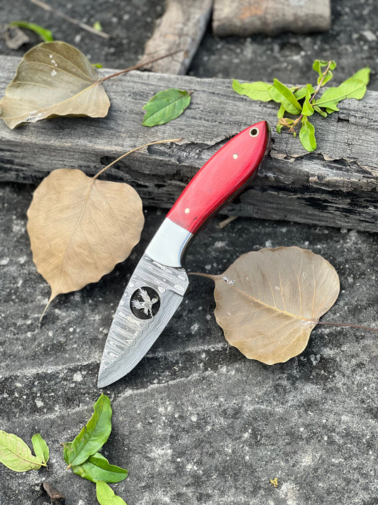 Texan Knives FIXED BLADE POCKET KNIFE, PERSONALIZED DAMASCUS STEEL FIXED BLADE HUNTING KNIFE