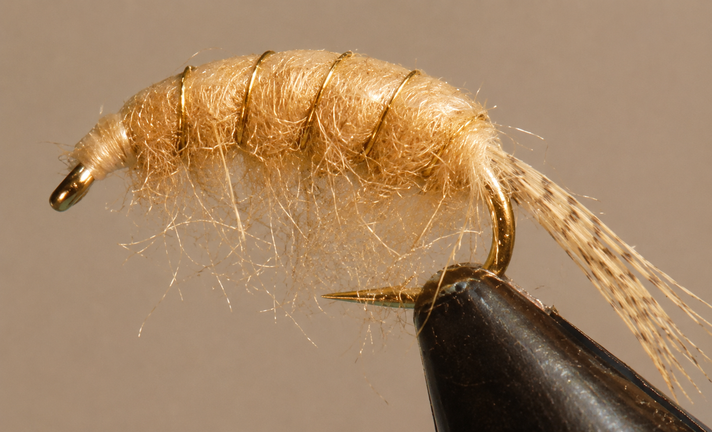 Stone Creek Scuds
