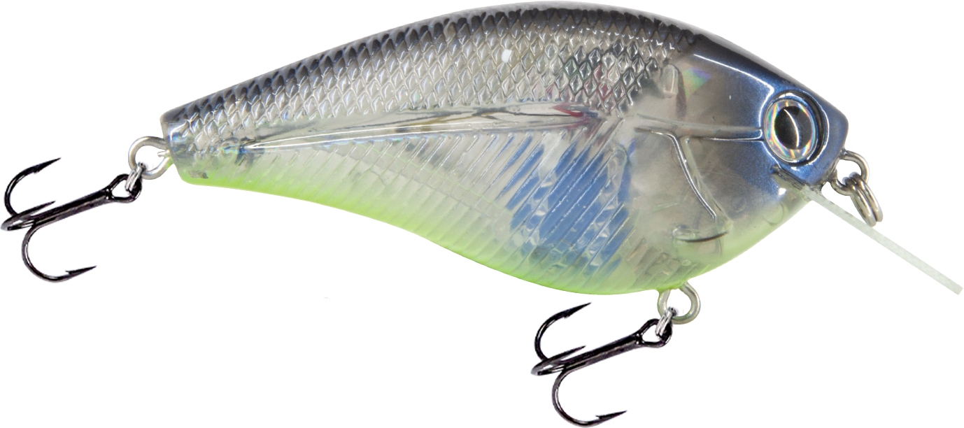 Livingston Lures Primetyme SQ 2.0 (EBS MultiTouch)