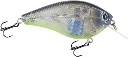 Livingston Lures Primetyme SQ 2.0 (EBS MultiTouch)