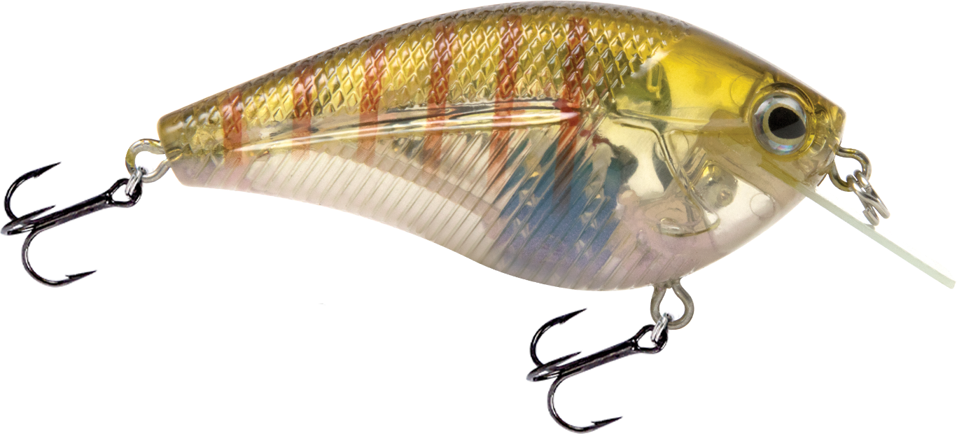 Livingston Lures Primetyme SQ 2.0 (EBS MultiTouch)