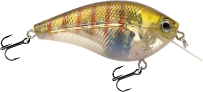 Livingston Lures Primetyme SQ 2.0 (EBS MultiTouch)