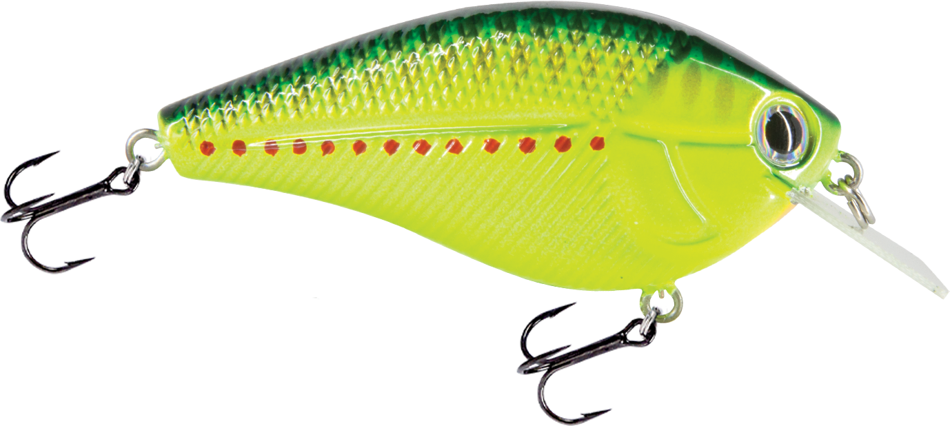 Livingston Lures Primetyme SQ 2.0 (EBS MultiTouch)