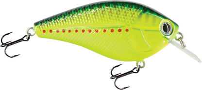 Livingston Lures Primetyme SQ 2.0 (EBS MultiTouch)