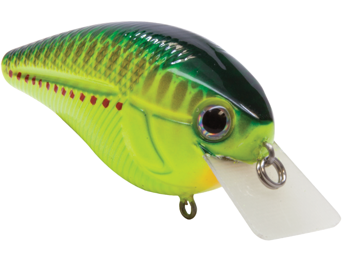 Livingston Lures Primetyme SQ 2.0 (EBS MultiTouch)