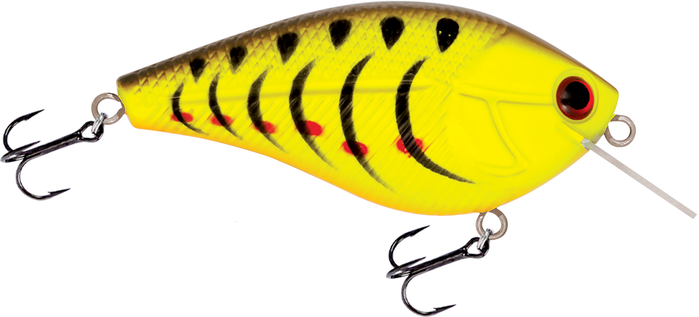 Livingston Lures Primetyme SQ 2.0 (EBS MultiTouch)