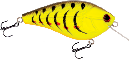 Livingston Lures Primetyme SQ 2.0 (EBS MultiTouch)