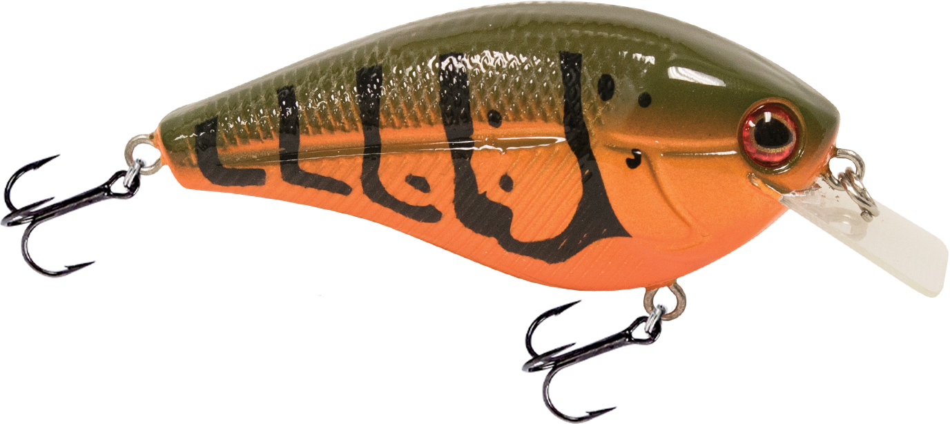 Livingston Lures Primetyme SQ 2.0 (EBS MultiTouch)