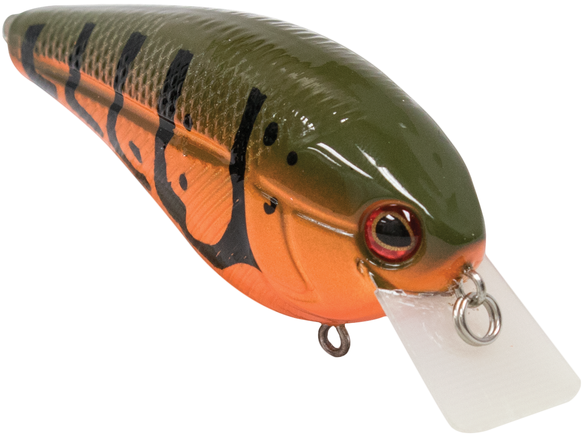 Livingston Lures Primetyme SQ 2.0 (EBS MultiTouch)