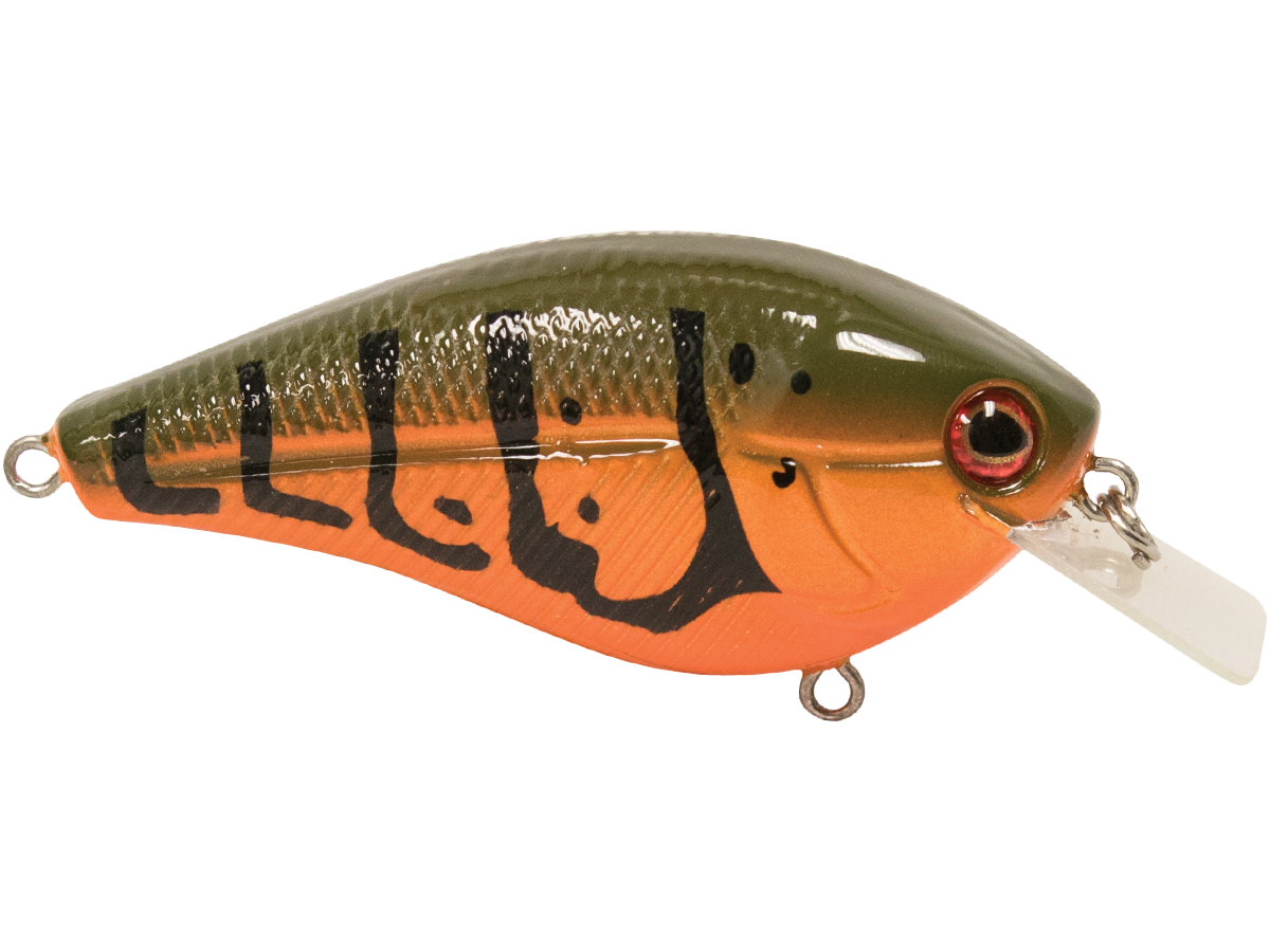 Livingston Lures Primetyme SQ 2.0 (EBS MultiTouch)