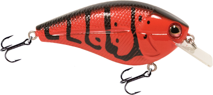 Livingston Lures Primetyme SQ 2.0 (EBS MultiTouch)