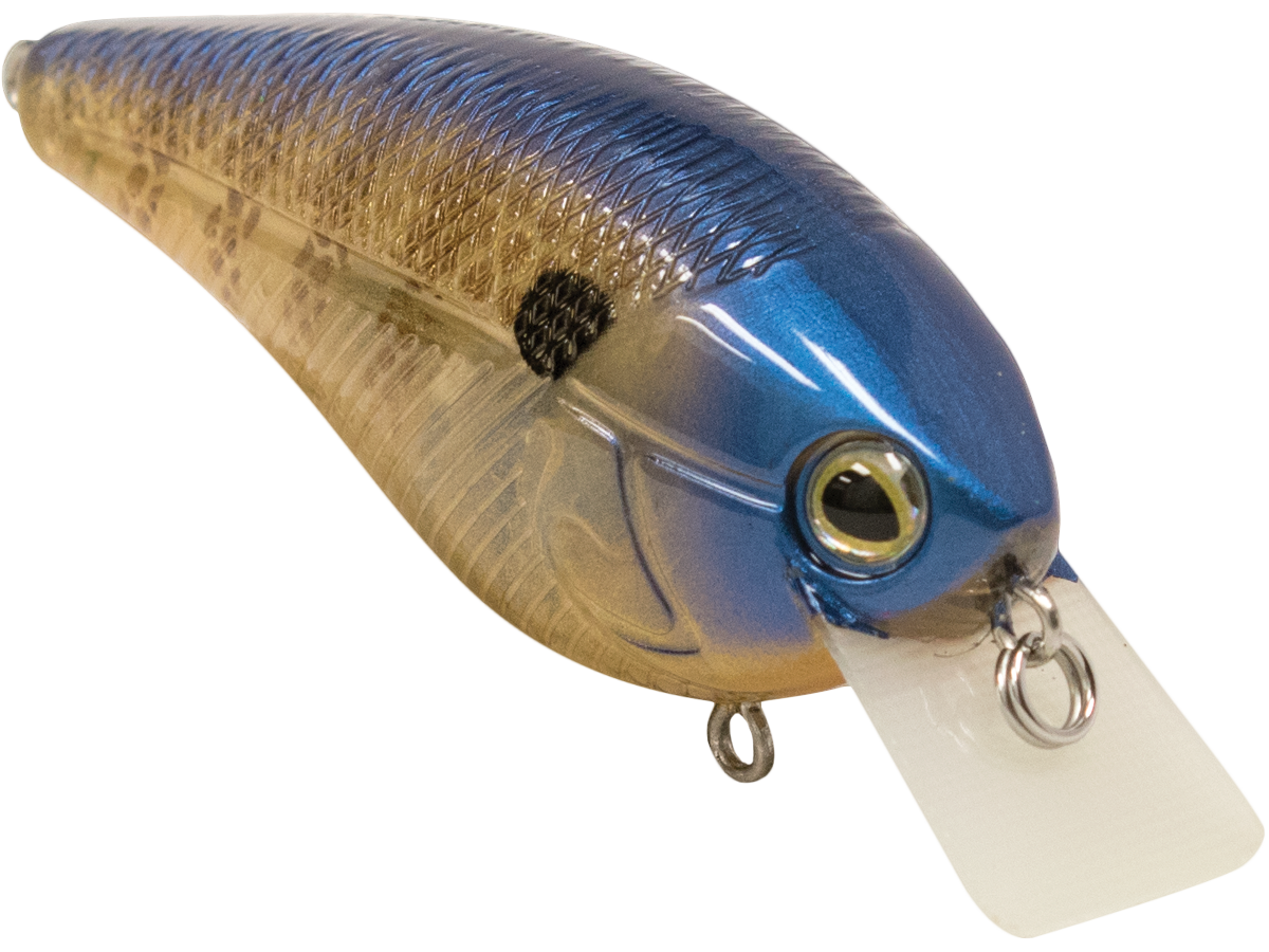Livingston Lures Primetyme SQ 2.0 (EBS MultiTouch)
