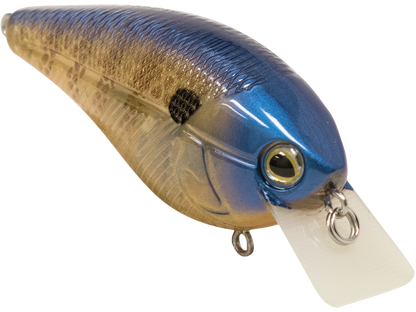 Livingston Lures Primetyme SQ 2.0 (EBS MultiTouch)