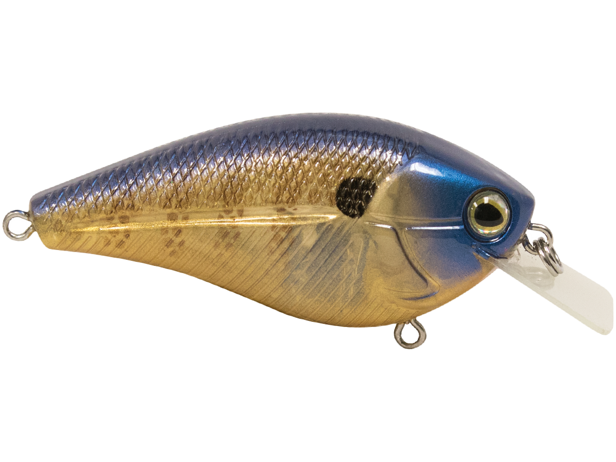 Livingston Lures Primetyme SQ 2.0 (EBS MultiTouch)