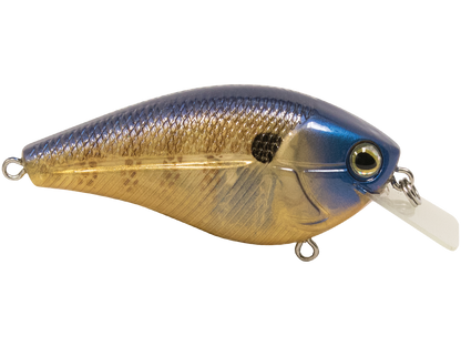 Livingston Lures Primetyme SQ 2.0 (EBS MultiTouch)