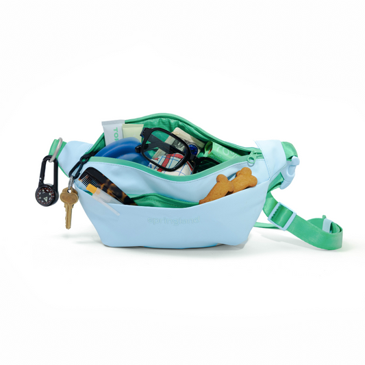 Springland Pets Hands-Free Dog Walking Bag