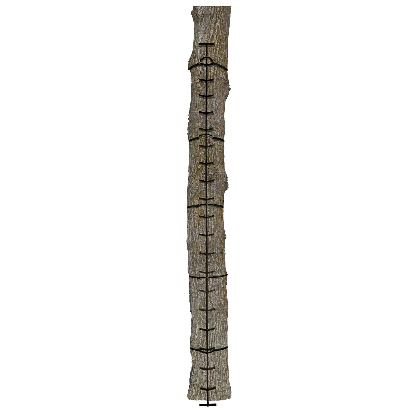 Muddy Outdoors Quick Stick XL Climbing Stick with Powder Coated Finish, Black