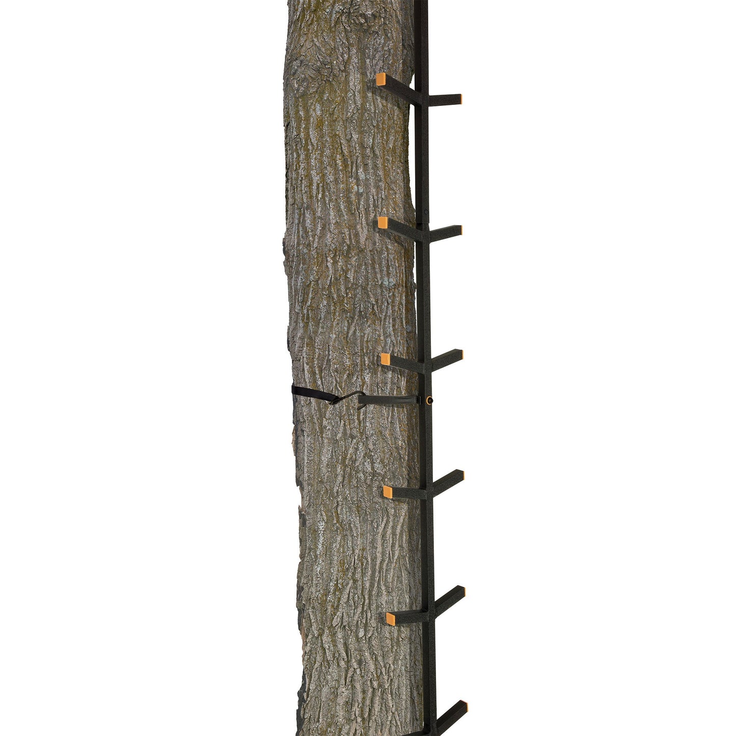 Muddy Outdoors Quick Stick XL Climbing Stick with Powder Coated Finish, Black