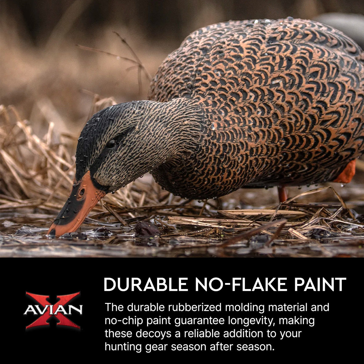 Avian X AXP Full Body Mallards Decoy, Ultra Realistic and Wind Activated, 6 Pack
