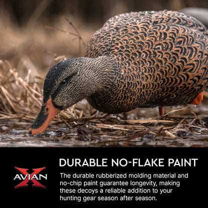 Avian X AXP Full Body Mallards Decoy, Ultra Realistic and Wind Activated, 6 Pack